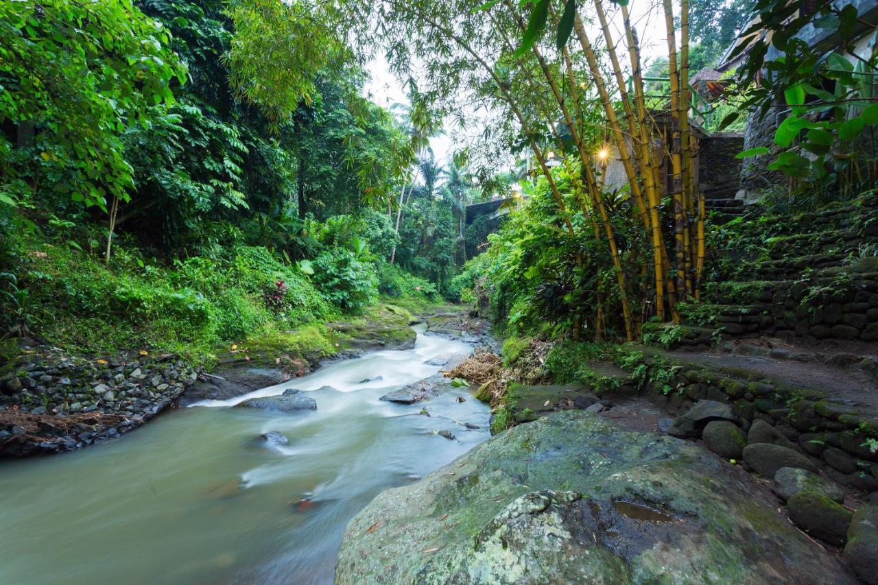 Ani'S Villas Ubud Exteriör bild