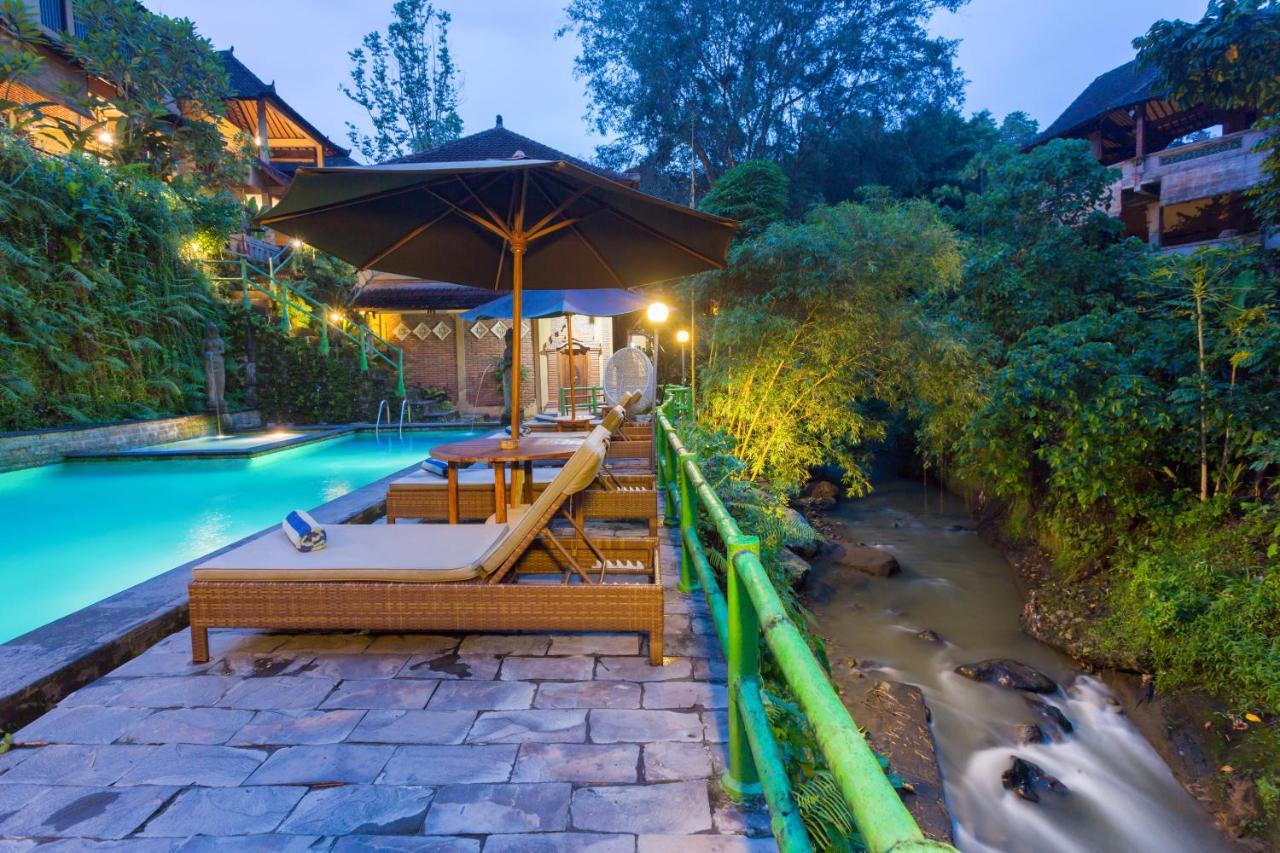 Ani'S Villas Ubud Exteriör bild